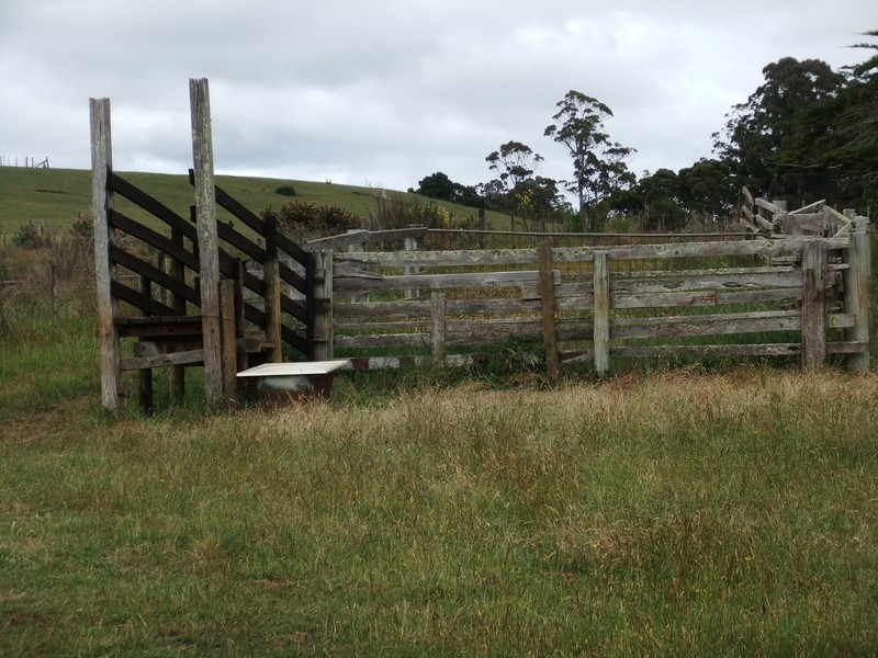 238/ Ridgley Highway, Highclere TAS 7321