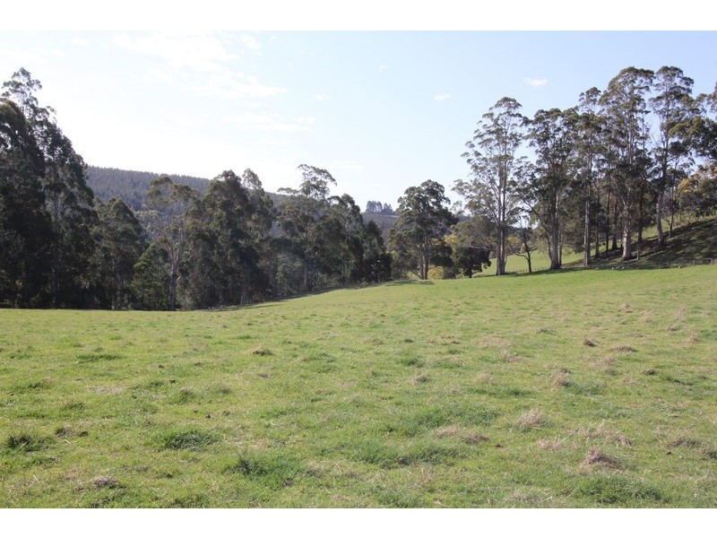 80 Central Castra Road, Castra TAS 7315