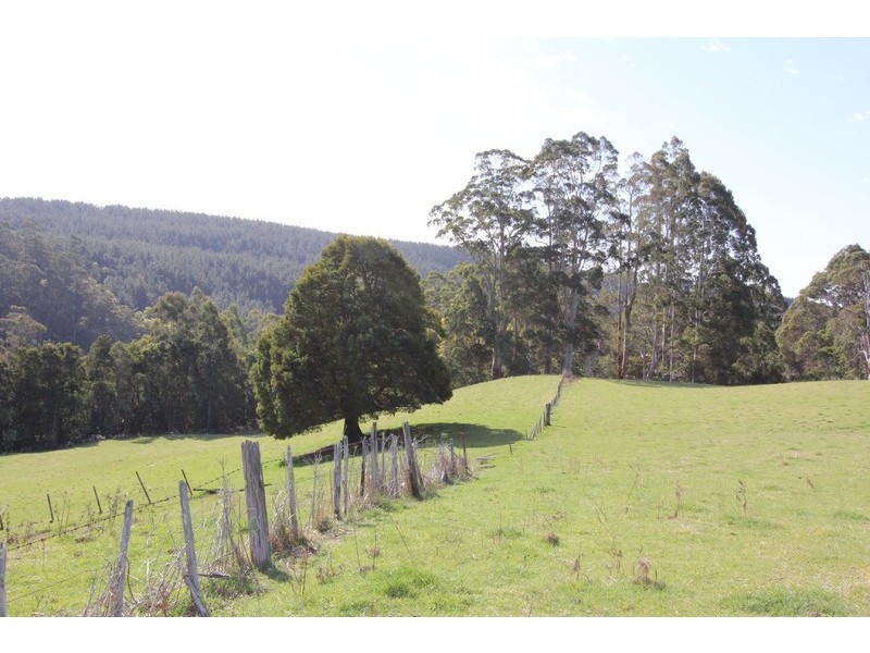 80 Central Castra Road, Castra TAS 7315