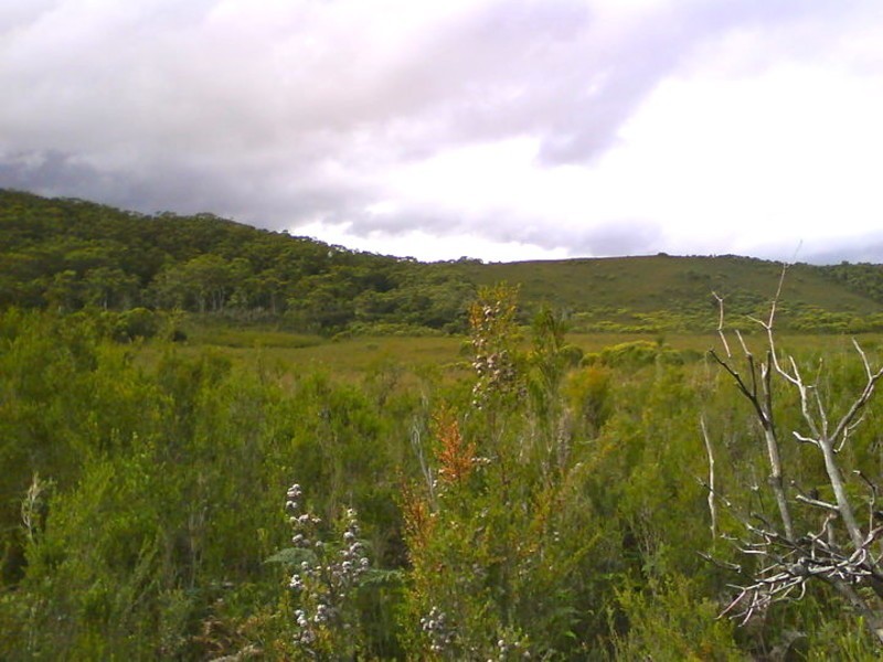 Henty Road, Zeehan TAS 7469
