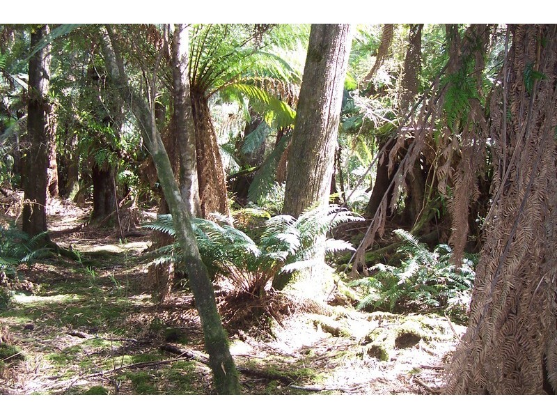 Henty Road, Zeehan TAS 7469