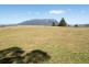 111 Brays Road, Sheffield TAS 7306
