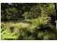336 Back Road, Wilmot TAS 7310