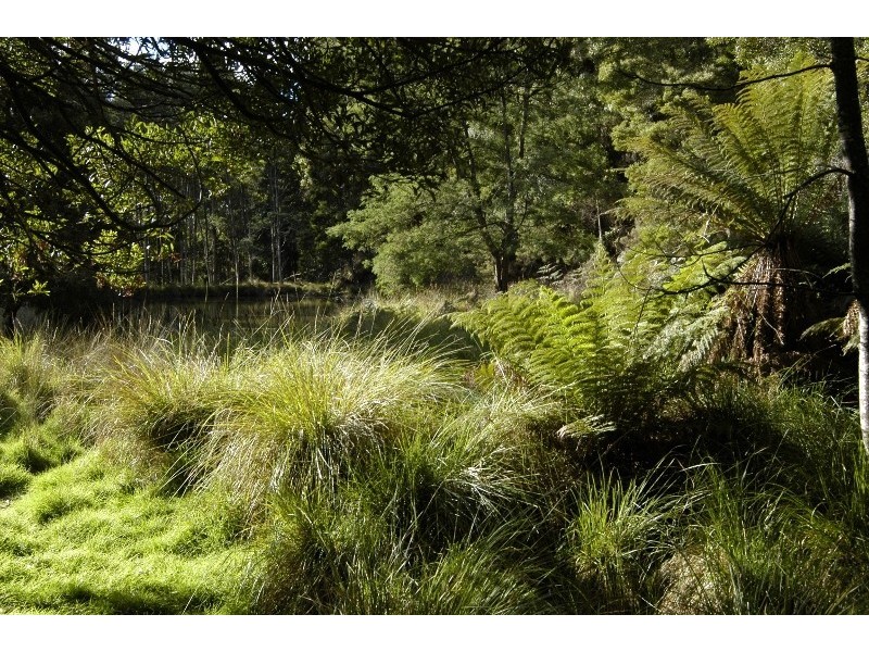 336 Back Road, Wilmot TAS 7310