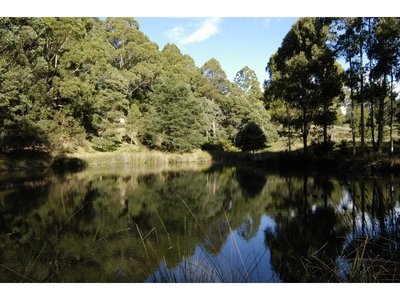 336 Back Road, Wilmot TAS 7310
