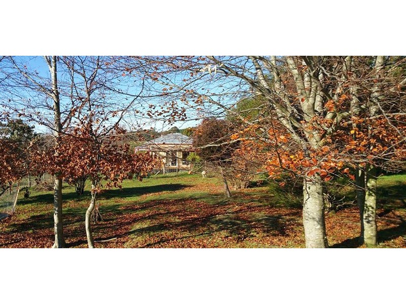 188 Cradle Mountain Road, Wilmot TAS 7310