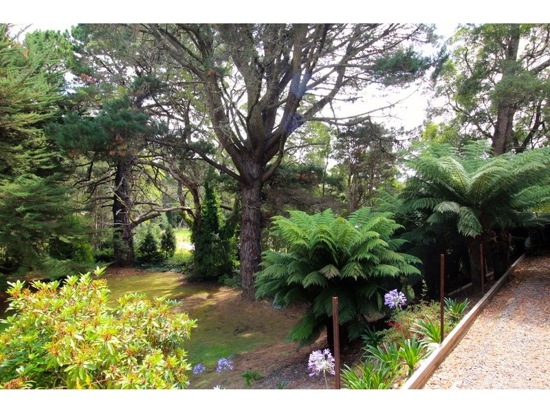 19 Jones Street, Strahan TAS 7468