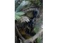 210 Purtons Road, North Motton TAS 7315
