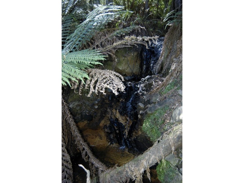 210 Purtons Road, North Motton TAS 7315