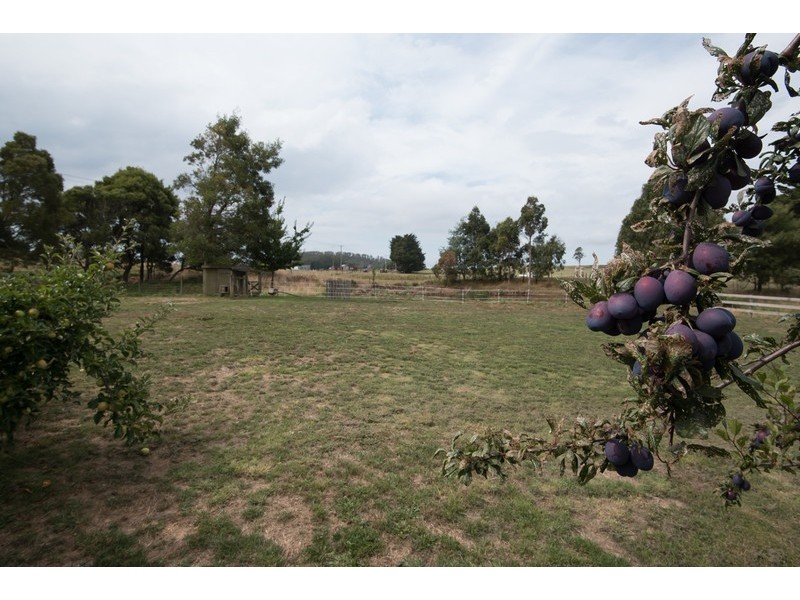 1519 Preston Road, Preston TAS 7315