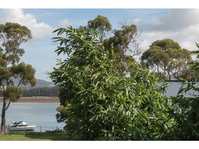 138a River Road, Ambleside TAS 7310