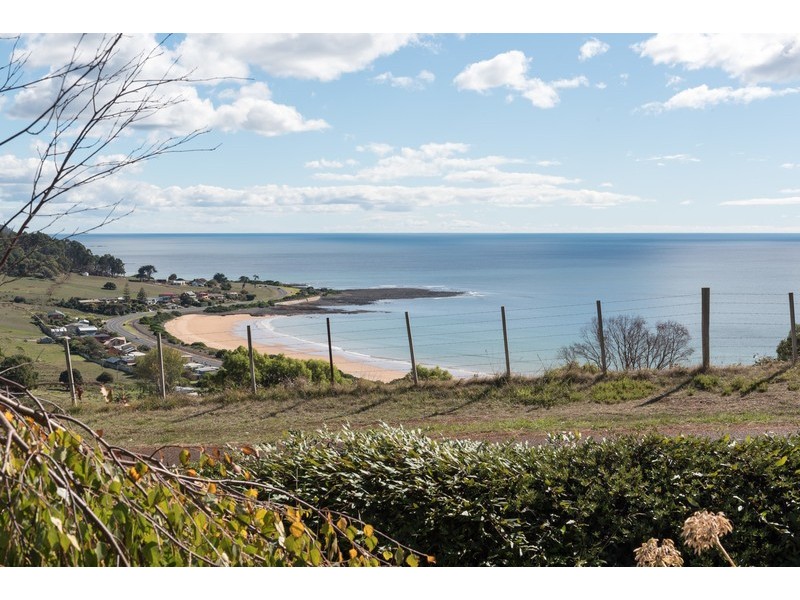 99 West Ridge Road, Penguin TAS 7316