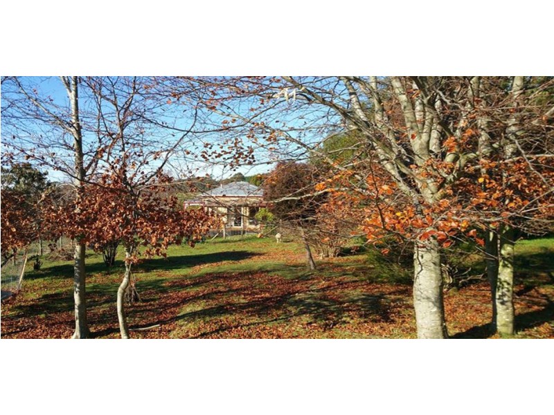 188 Cradle Mountain Road, Wilmot TAS 7310
