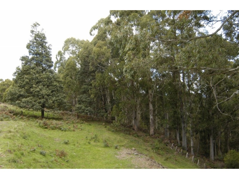336 Back Road, Wilmot TAS 7310