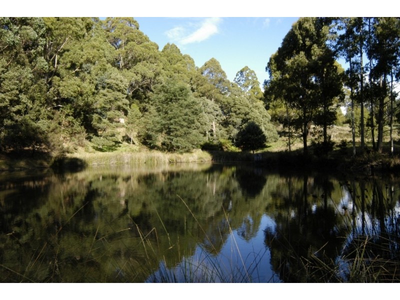 336 Back Road, Wilmot TAS 7310