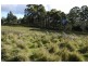 336 Back Road, Wilmot TAS 7310