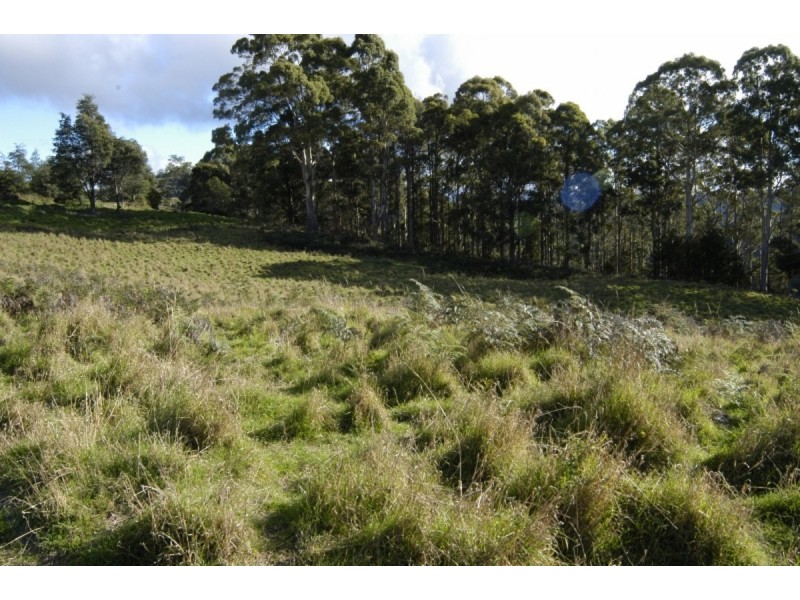 336 Back Road, Wilmot TAS 7310