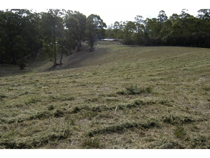 Lot 1, 230 Ironcliffe, Penguin TAS 7316