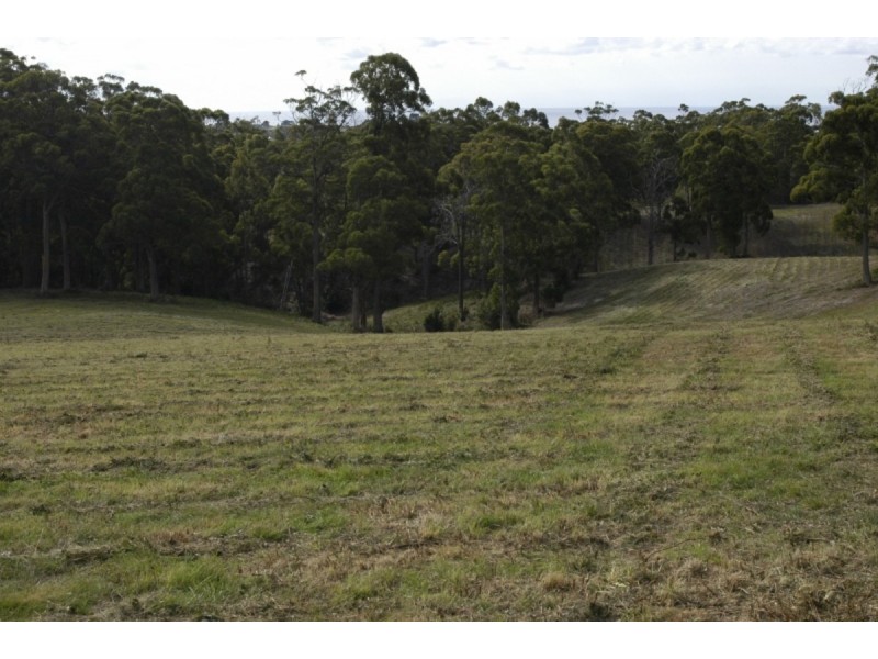 Lot 3, 230 Ironcliffe Road, Penguin TAS 7316