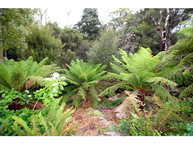 8 Somerset Street, Rosebery TAS 7470