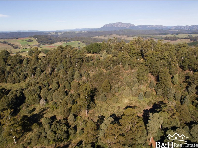 490 Back Road, Wilmot TAS 7310