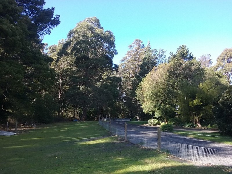 12 Purtons Road, North Motton TAS 7315