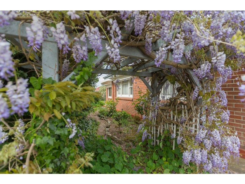 33 Risby Street, Ulverstone TAS 7315