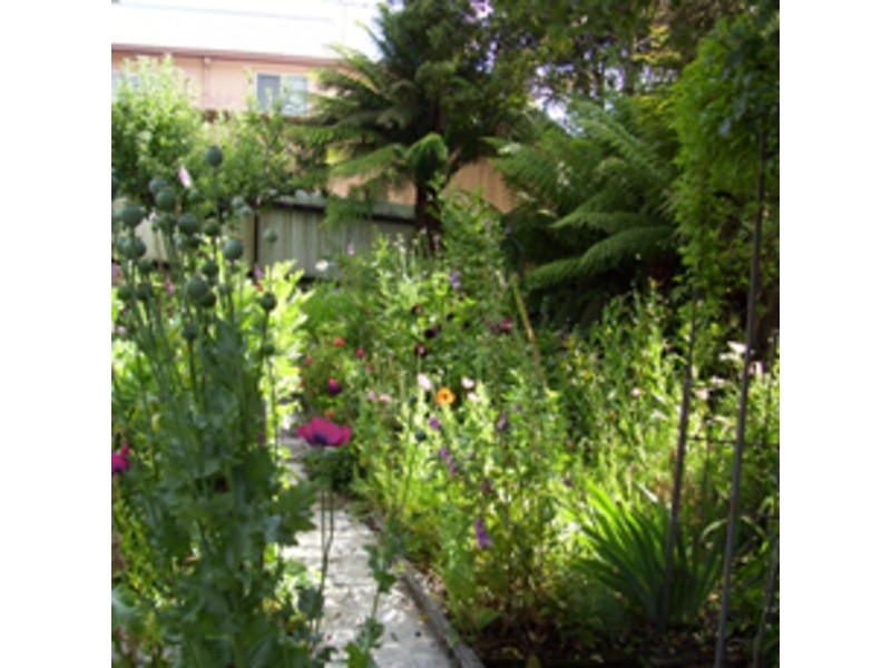 33 Urquhart Street, Queenstown TAS 7467