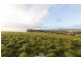 13 Inglisdale Drive, Wynyard TAS 7325
