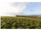 13 Inglisdale Drive, Wynyard TAS 7325