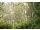 Lot 1,  Henty Road, Zeehan TAS 7469
