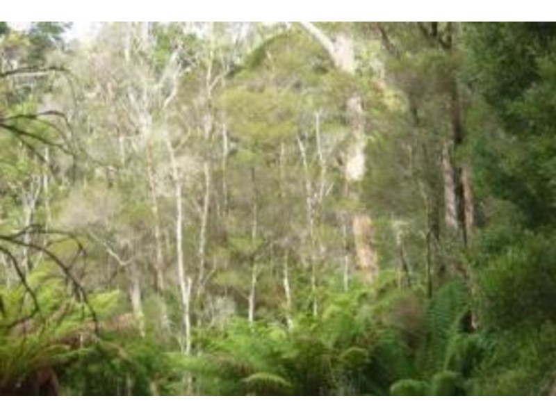 Lot 1,  Henty Road, Zeehan TAS 7469