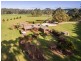 53 Aldersons Road, Wynyard TAS 7325