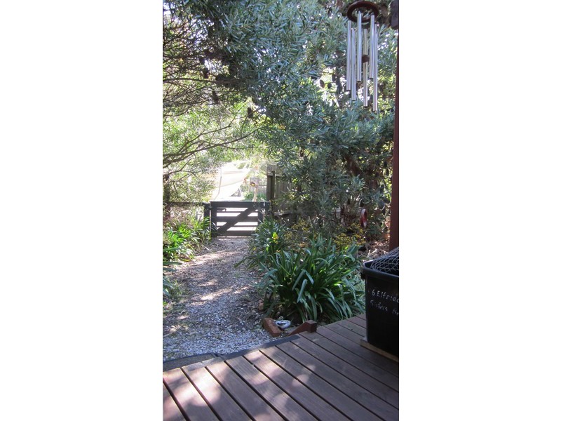 1 Elfrida Avenue, Sisters Beach TAS 7321