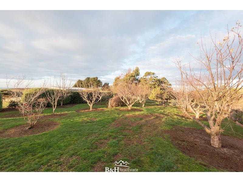 95 White Hills Road, Penguin TAS 7316