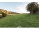 95 White Hills Road, Penguin TAS 7316