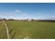 126 Serpentine Road, West Ridgley TAS 7321