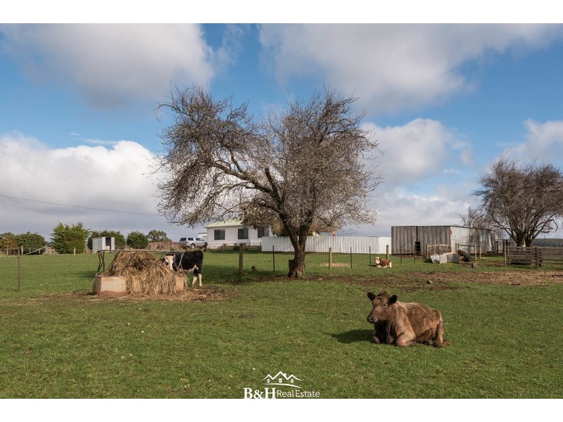 126 Serpentine Road, West Ridgley TAS 7321