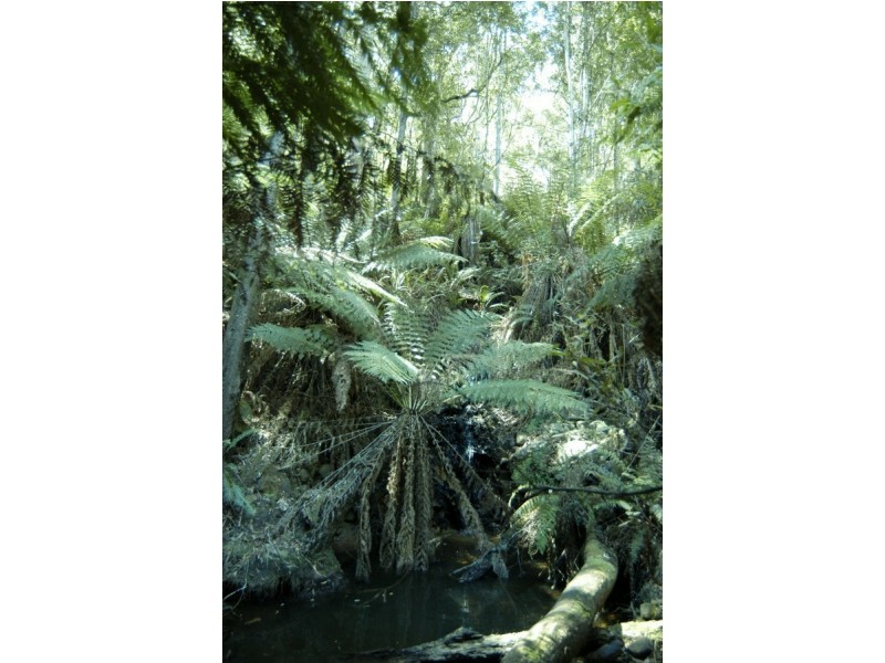 North Motton TAS 7315