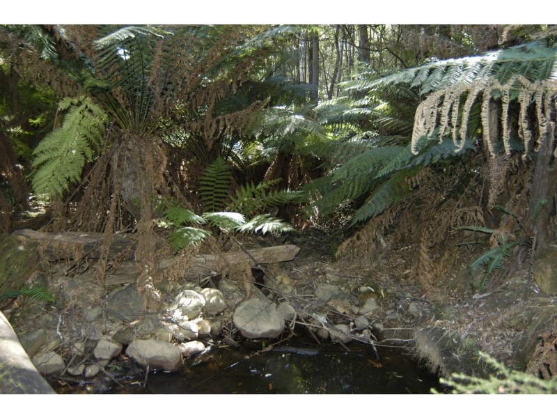 North Motton TAS 7315