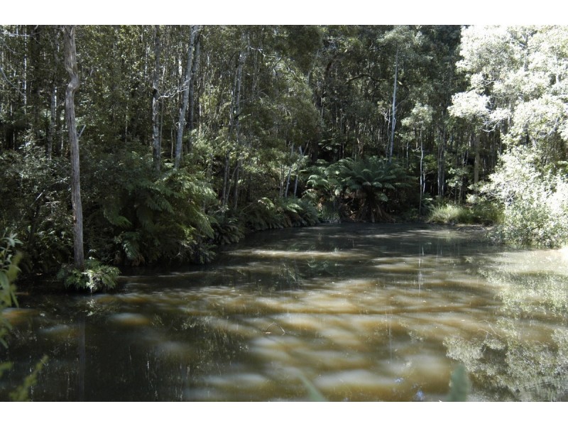 North Motton TAS 7315