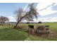 126 Serpentine Road, West Ridgley TAS 7321