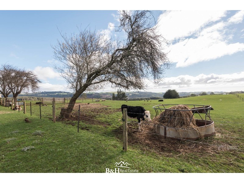 126 Serpentine Road, West Ridgley TAS 7321