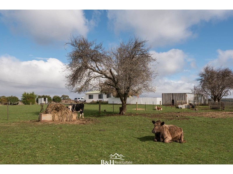 126 Serpentine Road, West Ridgley TAS 7321