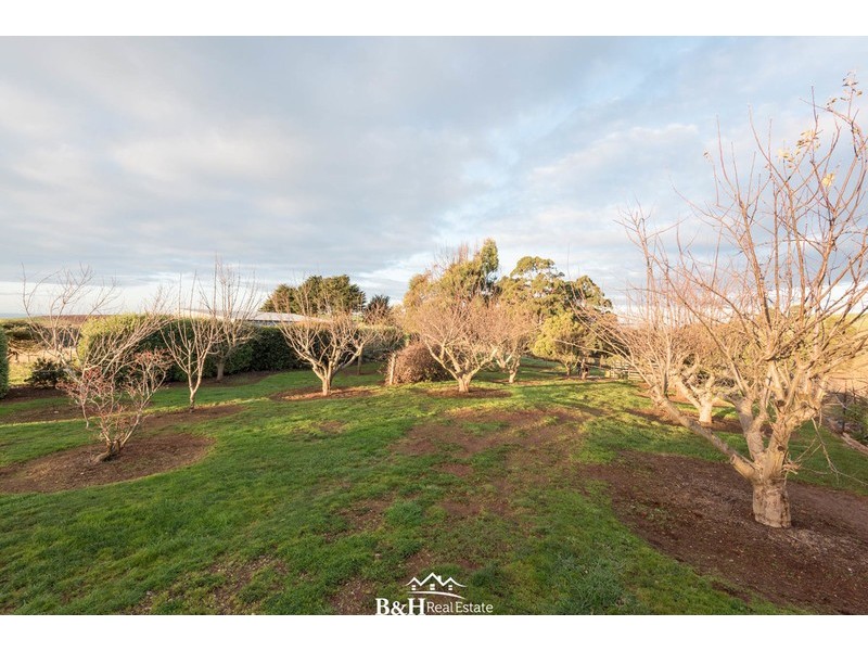 95 White Hills Road, Penguin TAS 7316