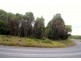 Zeehan Highway, Queenstown TAS 7467