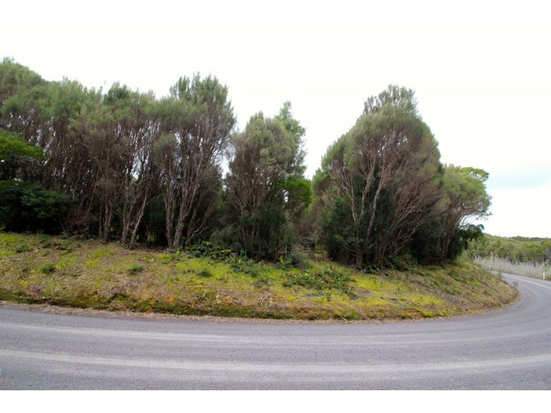 Zeehan Highway, Queenstown TAS 7467