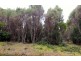 Zeehan Highway, Queenstown TAS 7467