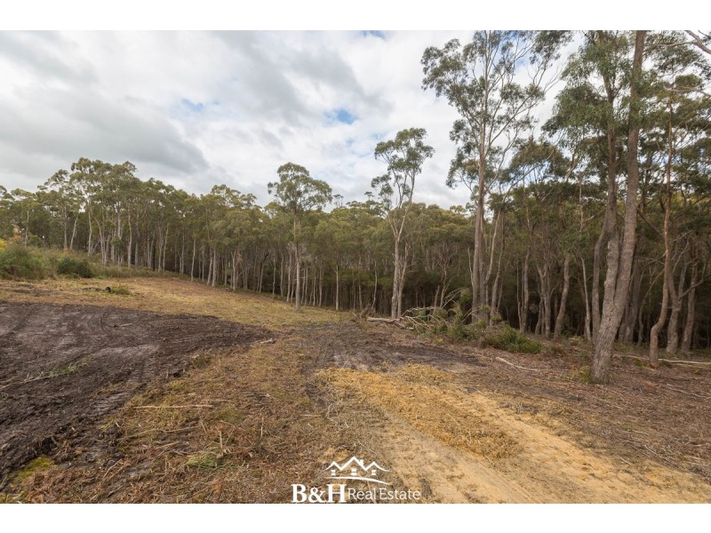 82 Allegra Drive, Heybridge TAS 7316