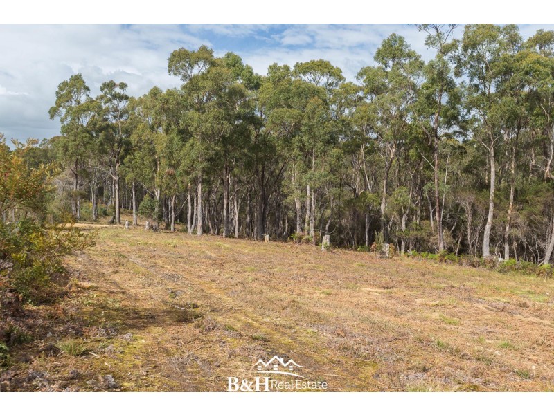 82 Allegra Drive, Heybridge TAS 7316